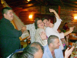 Parti Organizasyonlar